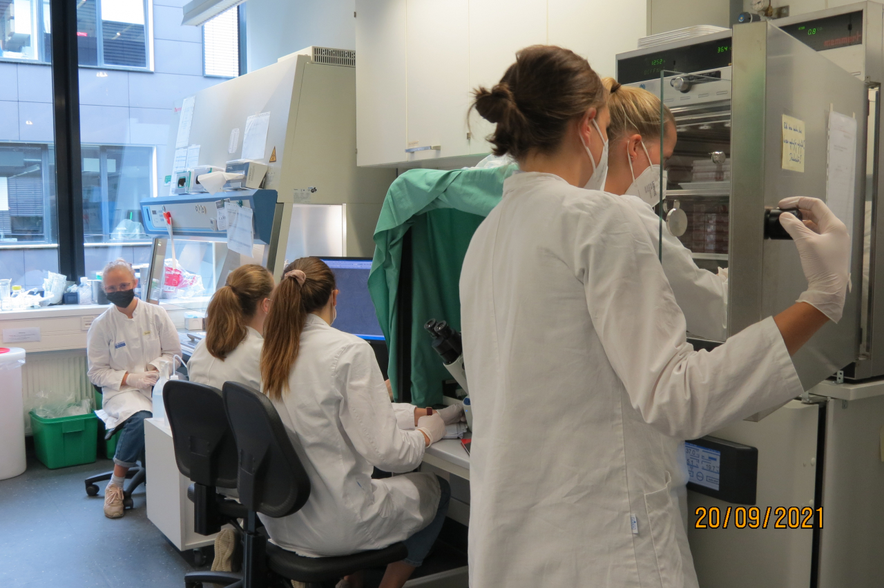 Two-weeks lab course “Introduction into cell culture technology of animal cells”, annually in September